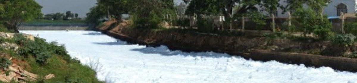 The truth about Bengaluru lakes